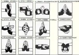 火影结印的全部图
