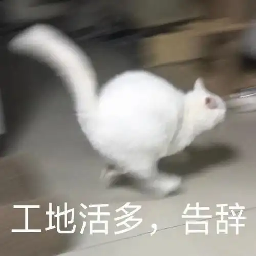 轻松一刻武汉大学生4天骨折两次,只因对这事太兴奋
