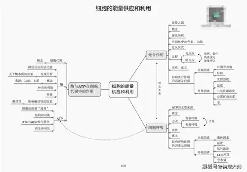 高考生物知识框架必修一二三知识点汇总
