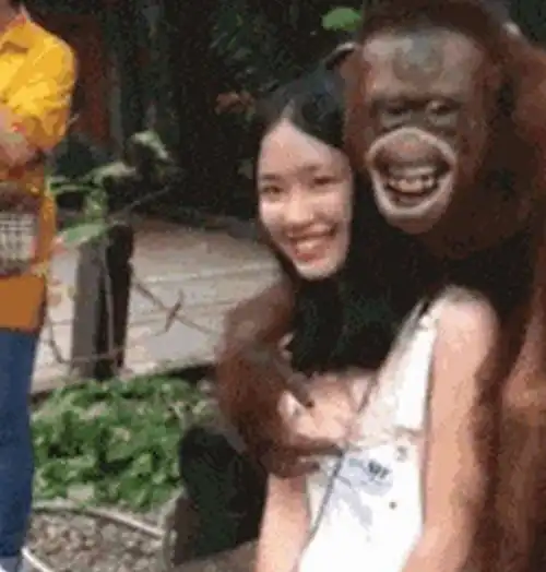 搞笑gif图片笑话段子老公结婚好几年了,都不怎么喝酒
