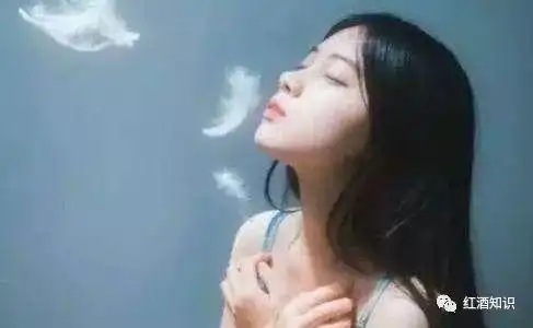 不为人知的葡萄酒营养成分,你了解多少
