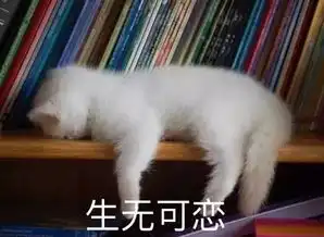 从上到下崭崭新这届苹果翻译太难了
