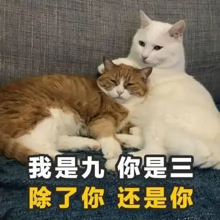 幽默段子笑话其实找男朋友和早上等公交车是一个道理
