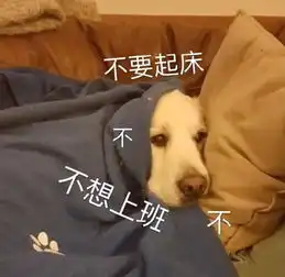 十条笑话今天老婆和我生气呢,回家不知怎么应付
