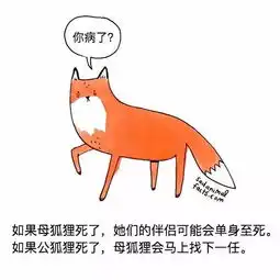 动物冷知识,尽管知道了没什么卵用,但挺好玩的
