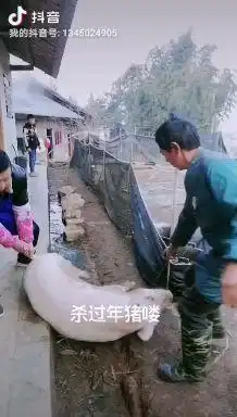 你小时候的过年和现在过年的比较知乎
