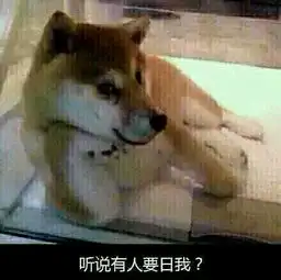 你知道今天是你画鸡蛋的日子吗
