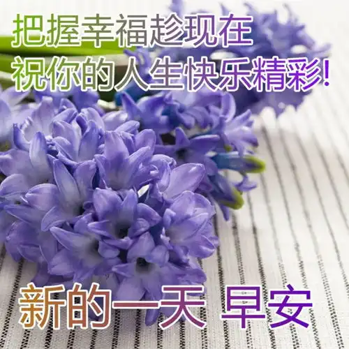 腊八节非常有创意幽默的早上好祝福语动态图片带字2022最新温馨的早安问候语简短