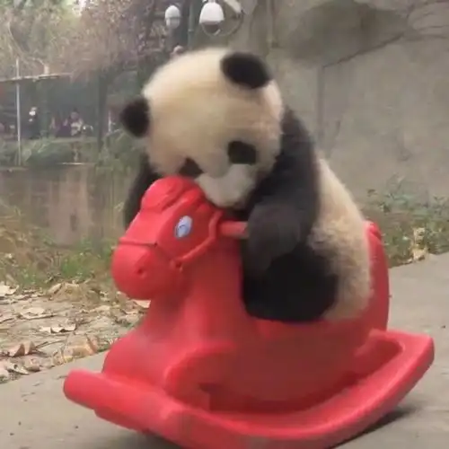 有没有什么红色系的,看起来逼格很高的头像
