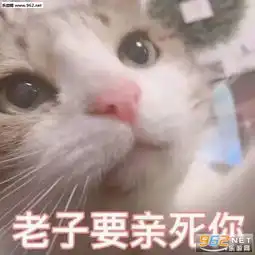 怎样投胎作者王思聪图片老子要亲死你表情包图片下载乐游网游戏下载
