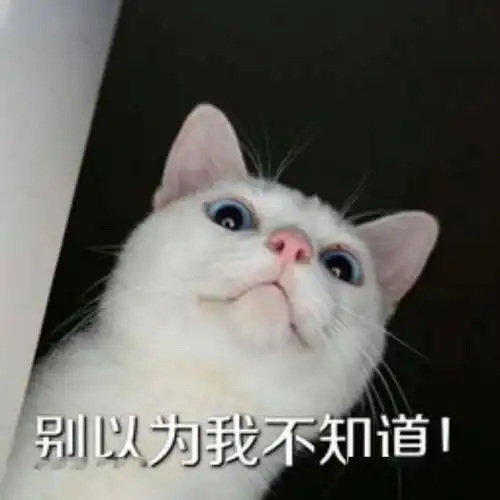 过来让我亲两口
