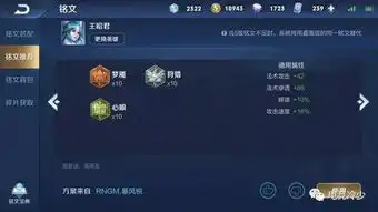 王者荣耀为什么你的王昭君总是负战绩看这些出装打法你就明白了
