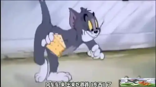 爆笑没想到汤姆那句风车车,让我笑足半天川话版的猫和老鼠.
