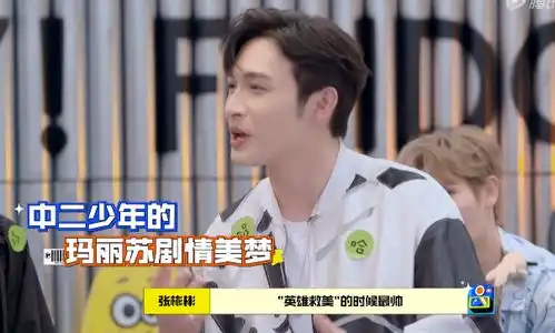 张彬彬中二之魂太好笑,无法回答送命题,何炅满分解围司藤最美
