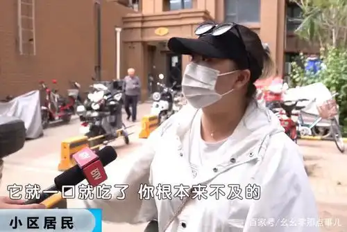 北京再现毒狗案小区多条宠物狗死于非命,物业的回应让人心寒
