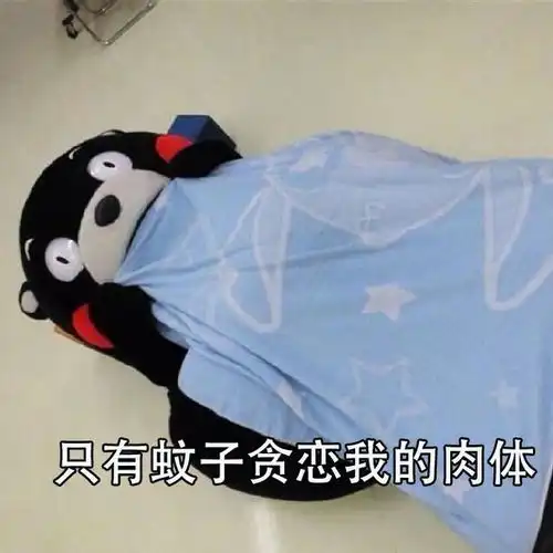熊本熊关于夏天的表情包夏天太热了,想找个人冷战一下
