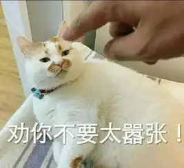 现在我就停,随你来罚女子在全州违停还拍视频挑衅,最后...
