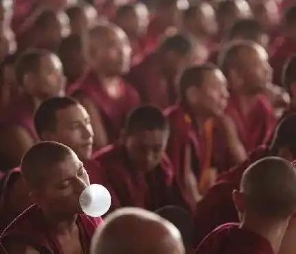 搞笑gif我终于相信老婆的话了,胎教很重要
