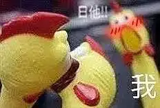 有哪些搞笑图片让人看完瞬间就想笑
