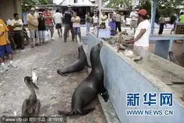 趣图大搜罗吸引眼球的定格瞬间

