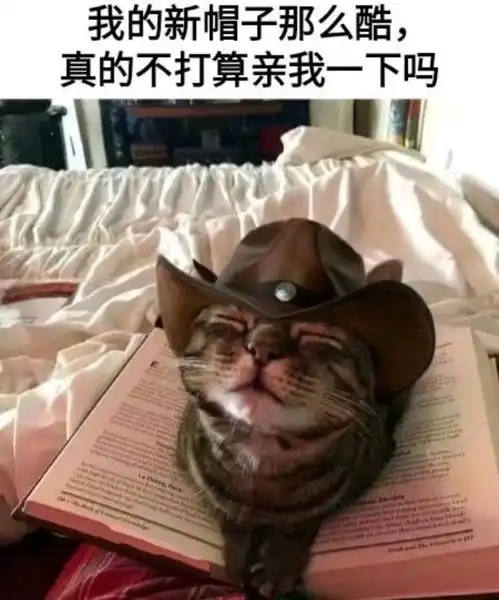 无标题
