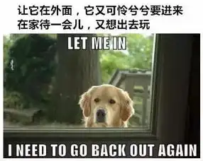汪星人的世界就是酱紫充满了矛盾
