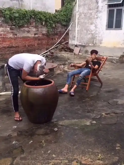 爆笑来袭这一缸的水就这样轻松被喝完了
