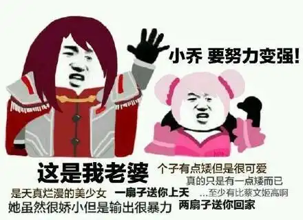 王者荣耀搞笑表情图我凭勇气开的团,为什么说我瞎带节奏
