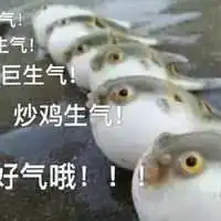 河豚表情包搞笑表情包