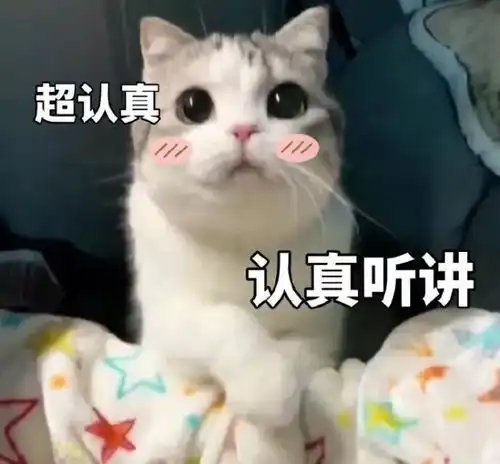 网友分享去算命的有趣经历哈哈哈哈笑到邻居报警哈哈哈哈哈哈哈哈哈哈
