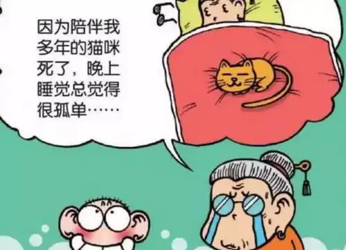 爆笑看孤寡老人太可怜,呆爸慷慨捐助
