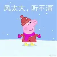 表示风大的图片今天风太大了搞笑图片微信头像图片大全
