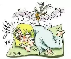 卧室放上这个,一夏天不被蚊子咬简单易做
