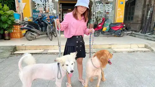 我跟老谭一起回桂林,天气太热帮狗狗把毛剃了,造型好搞笑
