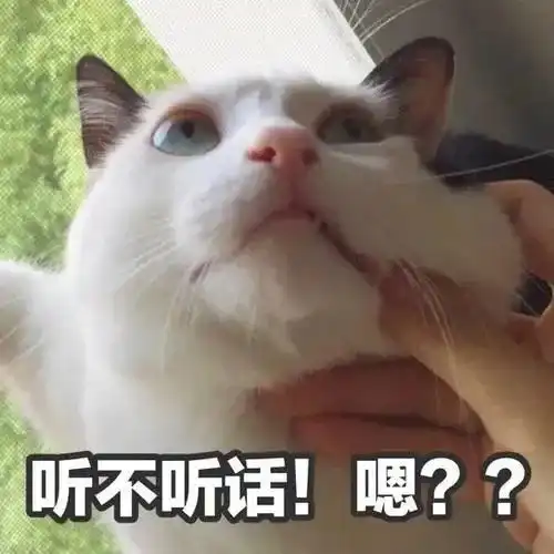 热搜睡懒觉没坏处如果可以,谁不想呢
