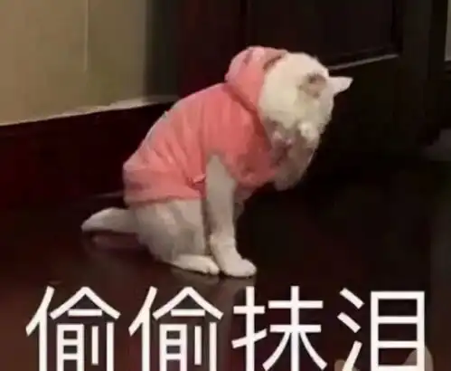 dnf堇青石价格一落千丈,搬砖党一个角色损失10万这也太惨了
