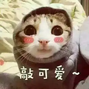 有哪些500块以下的适合二十七八岁女孩穿的品质好的...
