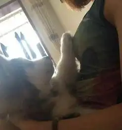 搞笑图片女生宿舍打牌,能带我一个吗