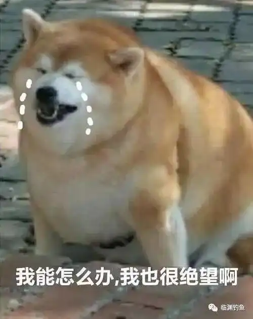 笑掉裤子2017年最火表情包最搞笑图片最没品新闻集锦
