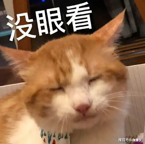 搞笑表情包图片没眼看
