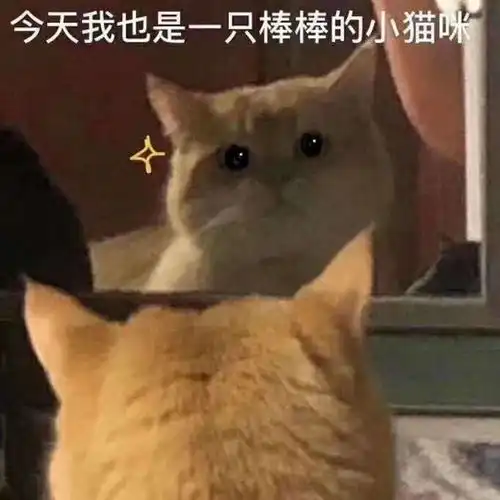 搞笑表情包拿图片我这几千块的手机,都不响一下
