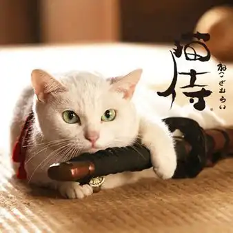 新东方日语芝麻酱猫日爱猫人士的大狂欢
