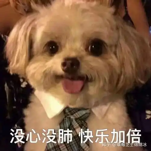 有哪些可爱的表情包