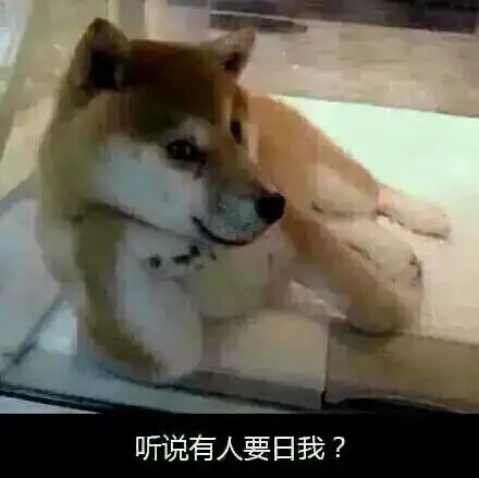 无语无奈照片无语无奈相册大全yy官方
