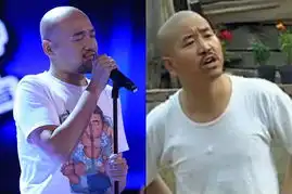 中国好声音歌手爆笑撞脸众星终极盘点
