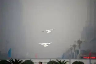 雾霾奇观钉子塔隐在空中组图
