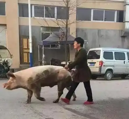 女人跟了这种男人也是悲剧了
