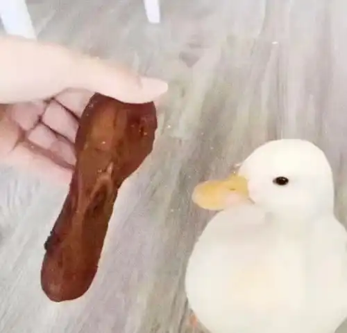 搞笑图片一张教室图,能明白土木工程专业的男生找不到对象的原因了
