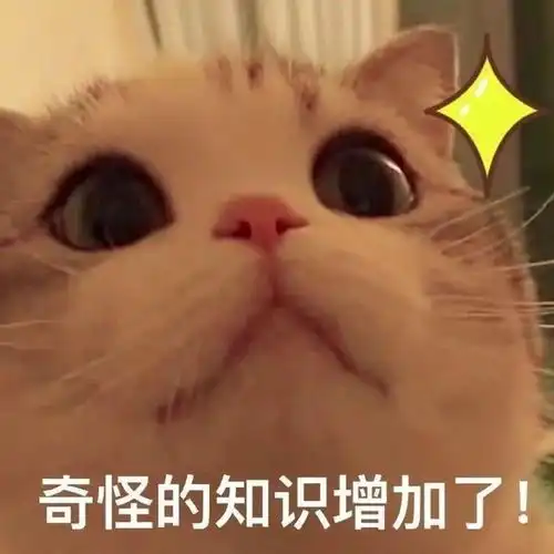 表情包爱情是最不靠谱的东西
