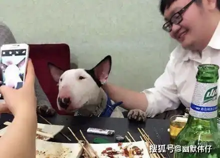 搞笑图片搞笑段子大妹子,都啥时候了,还在玩游戏啊
